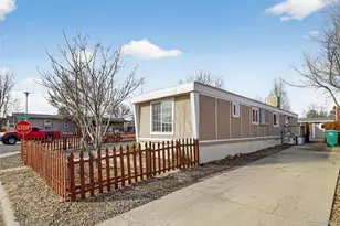4903 E 96th Pl, Denver, CO 80229 - Photo 1