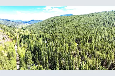 7739 County Road 43, Bailey, CO 80421 - Photo 32