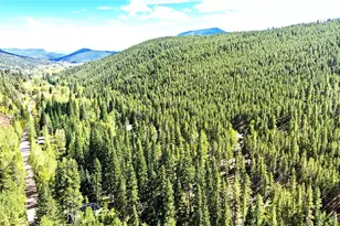 7739 Co Rd 43, Bailey, CO 80421 - Photo 32