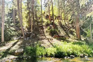 7739 Co Rd 43, Bailey, CO 80421 - Photo 2