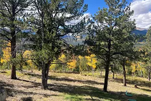 95 Appleby St, Bailey, CO 80421 - Photo 34