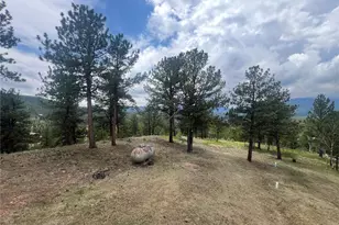 95 Appleby St, Bailey, CO 80421 - Photo 18