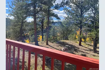 95 Appleby Street, Bailey, CO 80421 - Photo 30