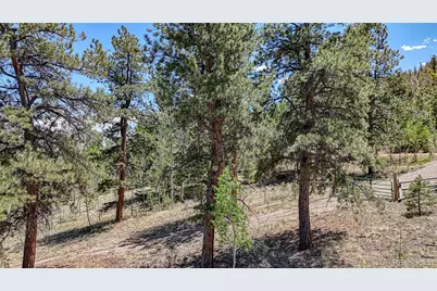 2338 Fitzsimmons Road, Hartsel, CO 80449 - Photo 22