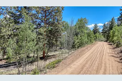 2338 Fitzsimmons Road, Hartsel, CO 80449 - Photo 2