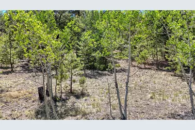 2338 Fitzsimmons Road, Hartsel, CO 80449 - Photo 24