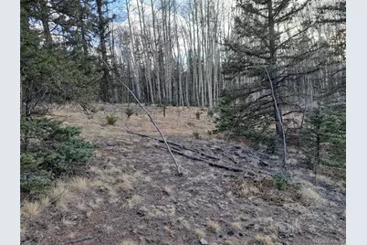 1059 Piaute Way, Jefferson, CO 80456 - Photo 10