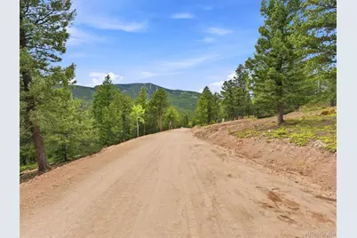 31004 Forest Shadow Trail, Conifer, CO 80433 - Photo 24