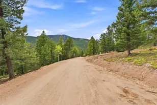 31004 Forest Shadow Trl, Conifer, CO 80433 - Photo 24