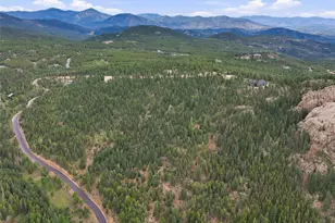 31004 Forest Shadow Trl, Conifer, CO 80433 - Photo 8