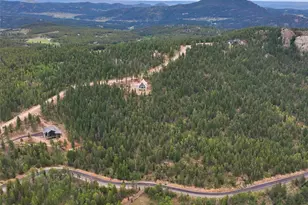 31004 Forest Shadow Trl, Conifer, CO 80433 - Photo 14