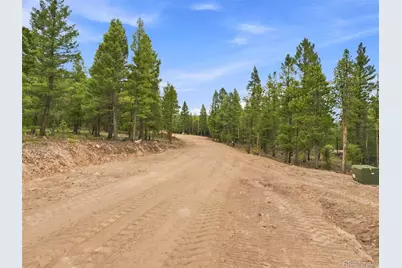 31004 Forest Shadow Trail, Conifer, CO 80433 - Photo 26