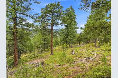 31004 Forest Shadow Trail, Conifer, CO 80433 - Photo 20