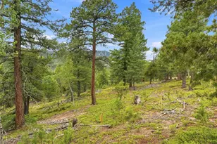 31004 Forest Shadow Trl, Conifer, CO 80433 - Photo 20