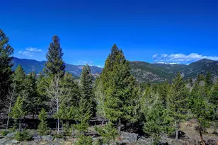 81 Fir Ln, Bailey, CO 80421 - Photo 28