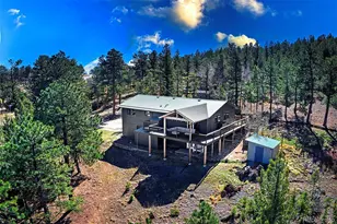 81 Fir Ln, Bailey, CO 80421 - Photo 2