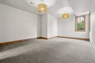 10378 Grande Vista Ct, Lone Tree, CO 80124 - Photo 42