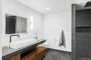 10378 Grande Vista Ct, Lone Tree, CO 80124 - Photo 44