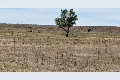 40495 Hoot Owl Road Road, Ramah, CO 80832 - Photo 6