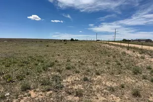40495 Hoot Owl Road Rd, Ramah, CO 80832 - Photo 1