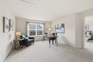 9934 Clyde Circle, Highlands Ranch, CO 80129 - Photo 24