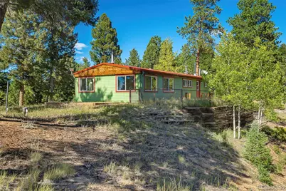 176 Chalk Circle Trail, Florissant, CO 80816 - Photo 44