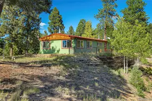176 Chalk Circle Trail, Florissant, CO 80816 - Photo 44