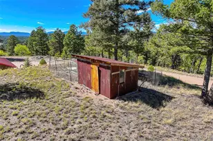 176 Chalk Circle Trail, Florissant, CO 80816 - Photo 42