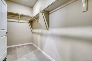 13806 Honey Hush Trl, Parker, CO 80134 - Photo 18