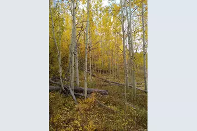 9876 Ryan Gulch Road #306, Silverthorne, CO 80498 - Photo 22
