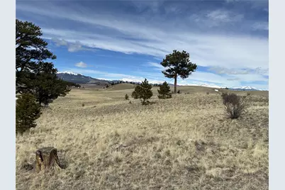 443 Saddle Horn Road, Hartsel, CO 80449 - Photo 10