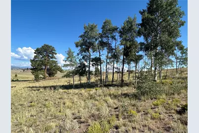 443 Saddle Horn Road, Hartsel, CO 80449 - Photo 4