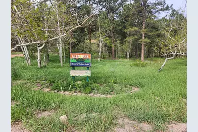 Virginia Avenue, Palmer Lake, CO 80133 - Photo 10