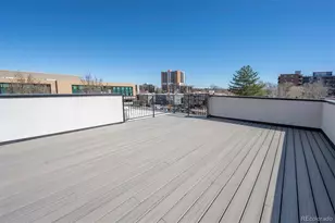 826 N Cherry Street, Denver, CO 80220 - Photo 38
