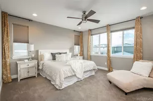 8802 E 53rd Ave, Denver, CO 80238 - Photo 24