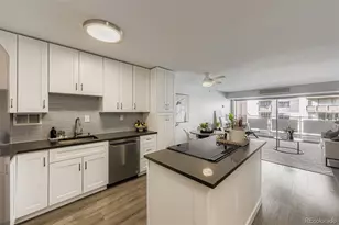 1121 Albion St, Denver, CO 80220 - Photo 6