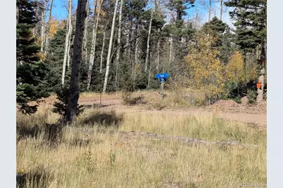 2448 Petito Drive, Fort Garland, CO 81133 - Photo 12