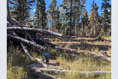 2448 Petito Drive, Fort Garland, CO 81133 - Photo 10