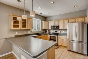 10594 Jewelberry Trail, Highlands Ranch, CO 80130 - Photo 8