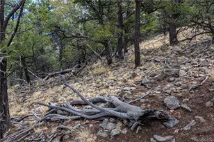 2126 E Path, Cotopaxi, CO 81223 - Photo 40