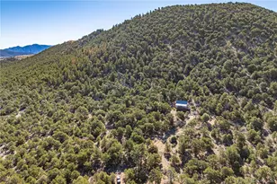 2126 E Path, Cotopaxi, CO 81223 - Photo 46