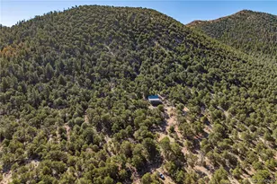 2126 E Path, Cotopaxi, CO 81223 - Photo 48