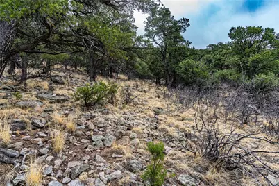 2126 E Path, Cotopaxi, CO 81223 - Photo 38