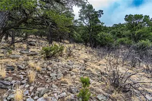 2126 E Path, Cotopaxi, CO 81223 - Photo 38