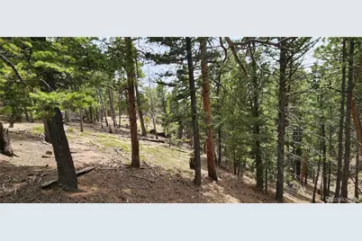 13985 Boulder Lane, Larkspur, CO 80118 - Photo 22