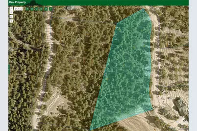 13985 Boulder Lane, Larkspur, CO 80118 - Photo 34