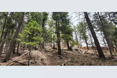 13985 Boulder Lane, Larkspur, CO 80118 - Photo 14