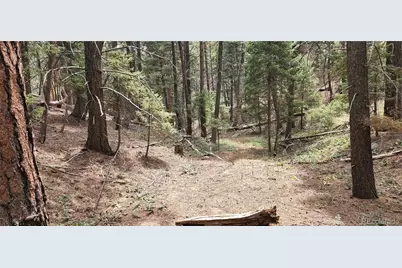 13985 Boulder Lane, Larkspur, CO 80118 - Photo 16