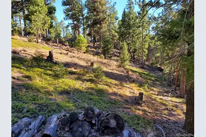 13985 Boulder Lane, Larkspur, CO 80118 - Photo 8