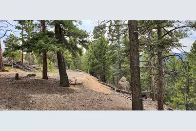 13985 Boulder Lane, Larkspur, CO 80118 - Photo 10